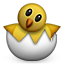 hatching_chick